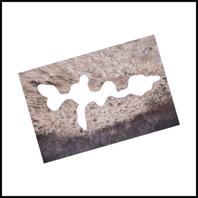 guillermo gudino abstract photography art mexican background square new topographic landscape contemporary cut-out shapes form